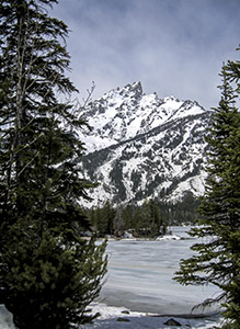 Grand Teton