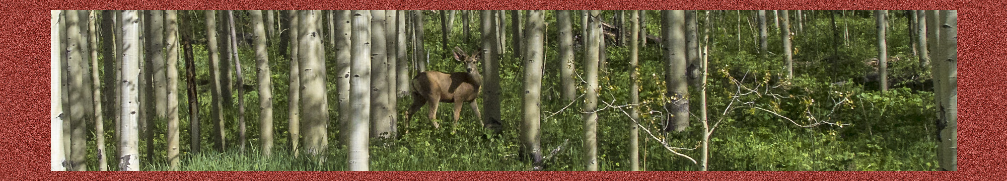 maroon-bells-1342-f